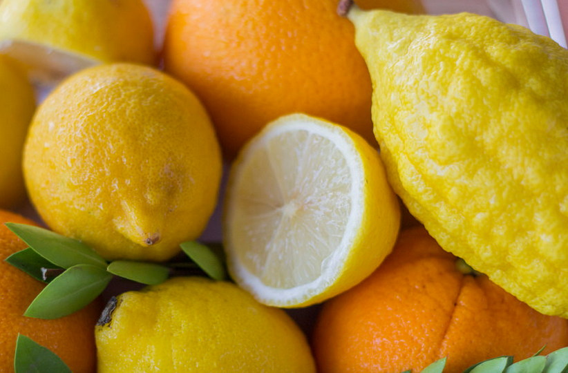 День апельсина и лимона картинки. Апельсин и лимон. Картина лимоны. День апельсина и лимона. Лимон на столе.